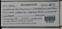 Image Associated With the Occurence